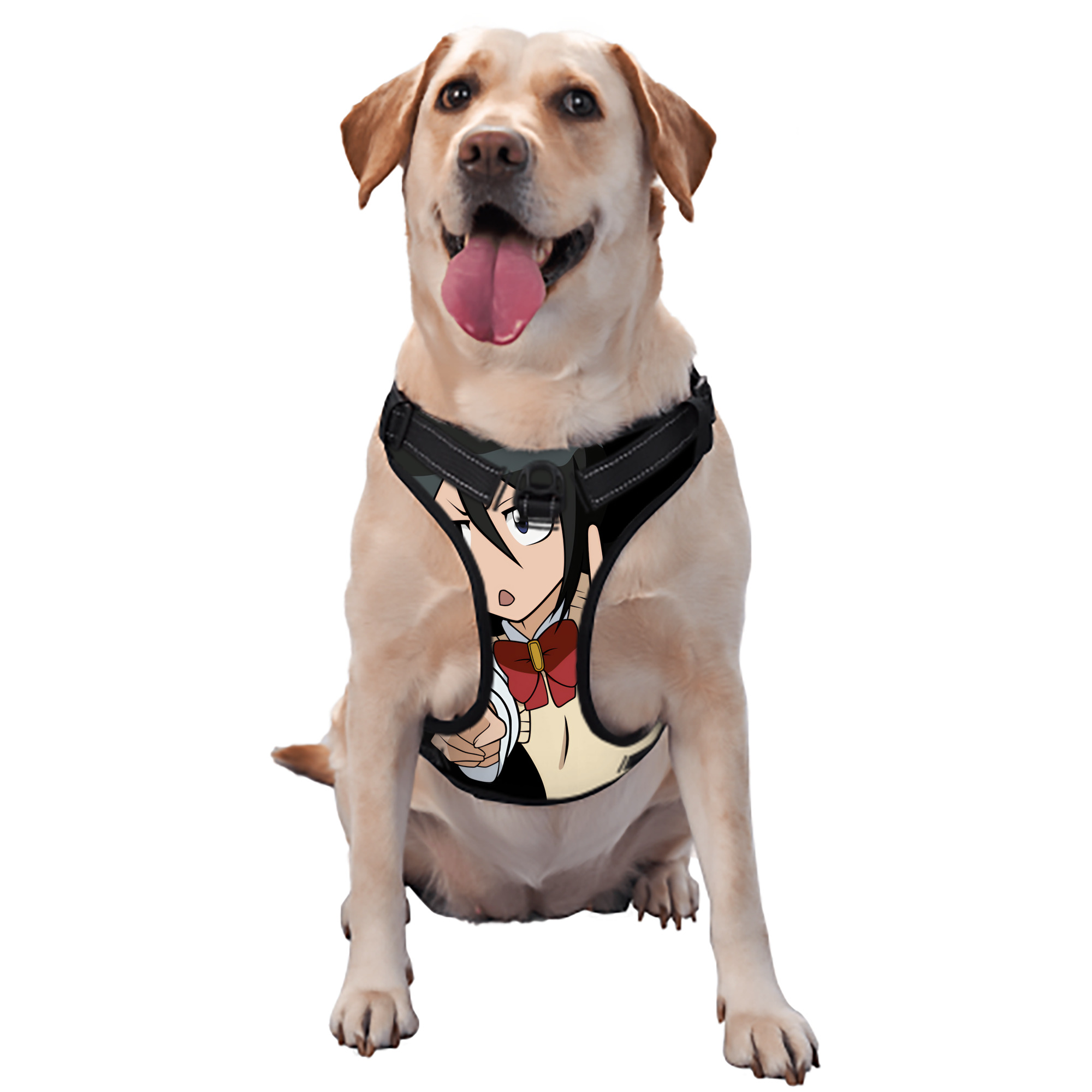 （画像用） ブリーチ 朽木ルキア BLEACH Kuchiki Rukia ペット用ハーネス